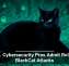 U.S. Cybersecurity Pros Admit Role in BlackCat Attacks